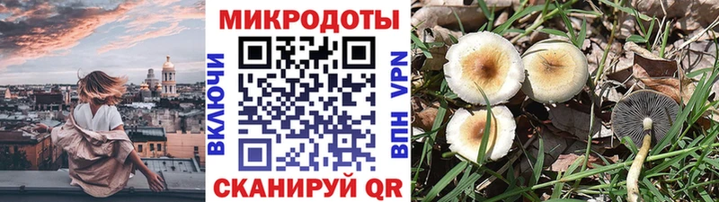 Галлюциногенные грибы мицелий  blacksprut ссылки  Кузнецк 