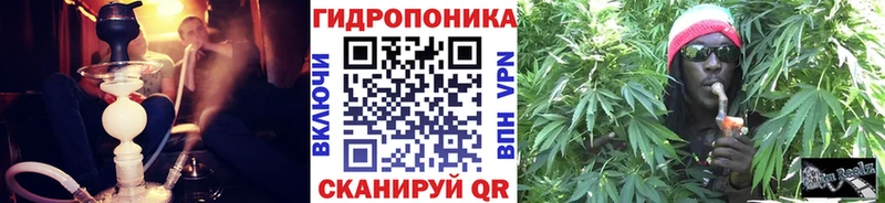 Шишки марихуана THC 21% Кузнецк
