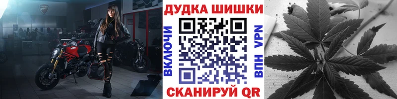 хочу наркоту  Кузнецк  Бошки Шишки ГИДРОПОН 